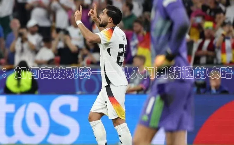 ：如何高效观赛——从入门到精通的攻略