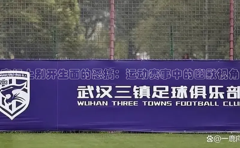 赛场上别开生面的恶搞：运动赛事中的幽默视角
