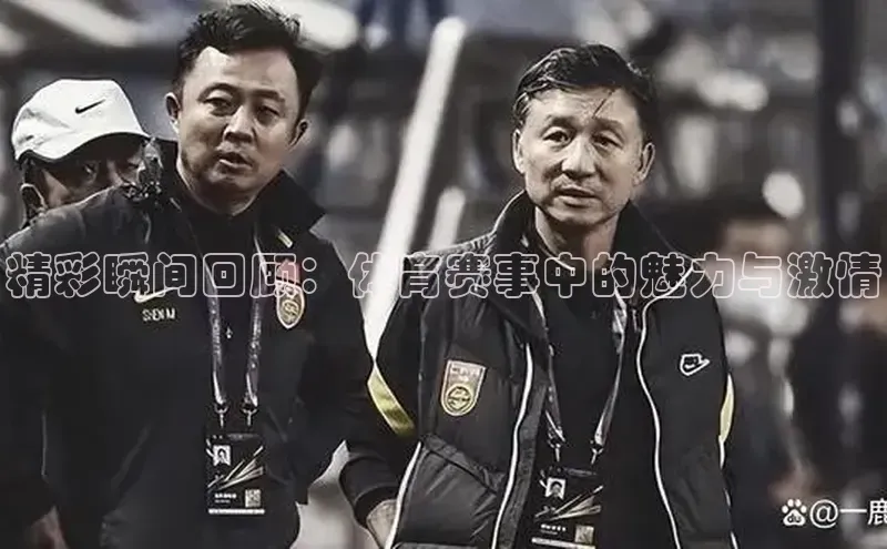 精彩瞬间回顾：体育赛事中的魅力与激情
