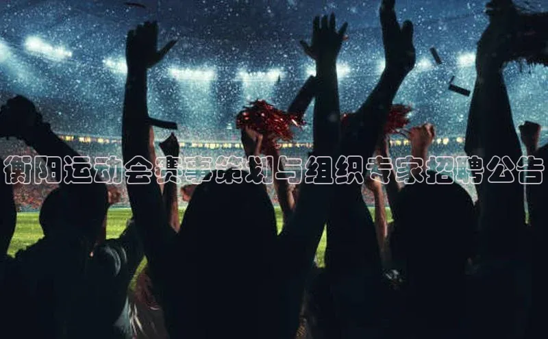 衡阳运动会赛事策划与组织专家招聘公告